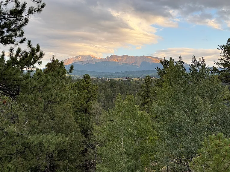 Aspen Dr — Photo 29