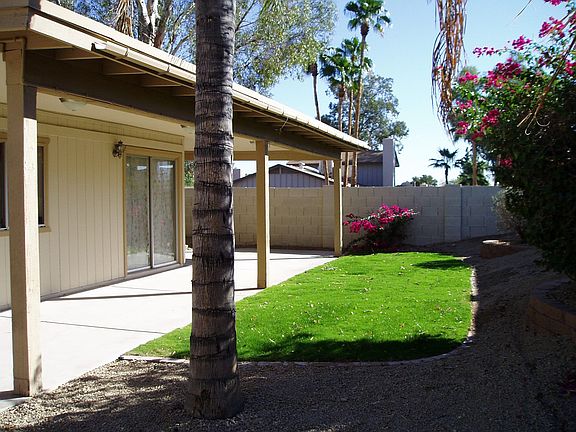 Grassy area in back