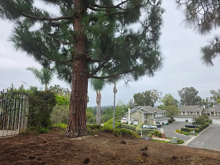 23395 La Crescenta #A — Photo 3