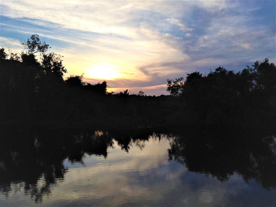 Lake Tsala Apopka