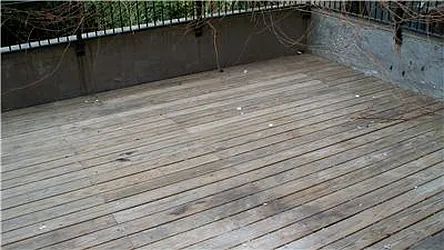 Rented by Mark David