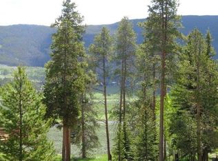 756 Penstemon Rd, Dillon, CO 80435