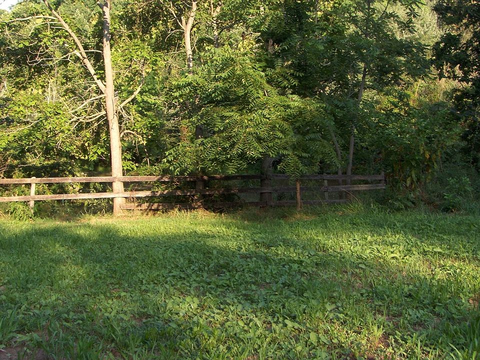 back yard view