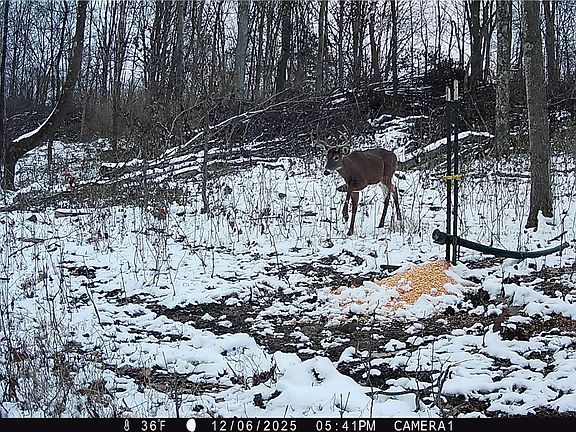 5th image of 37795 Sheep Skin Ridge Rd