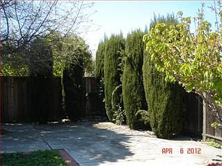 1st image of 977 Chapel Hill Way