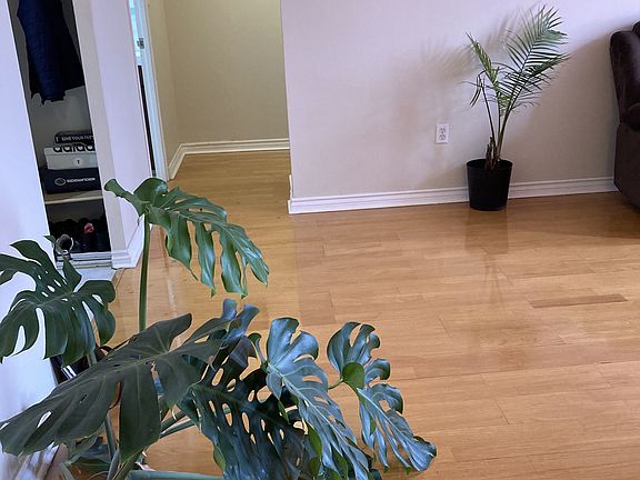 4th image of 335 Driftwood Ave #707