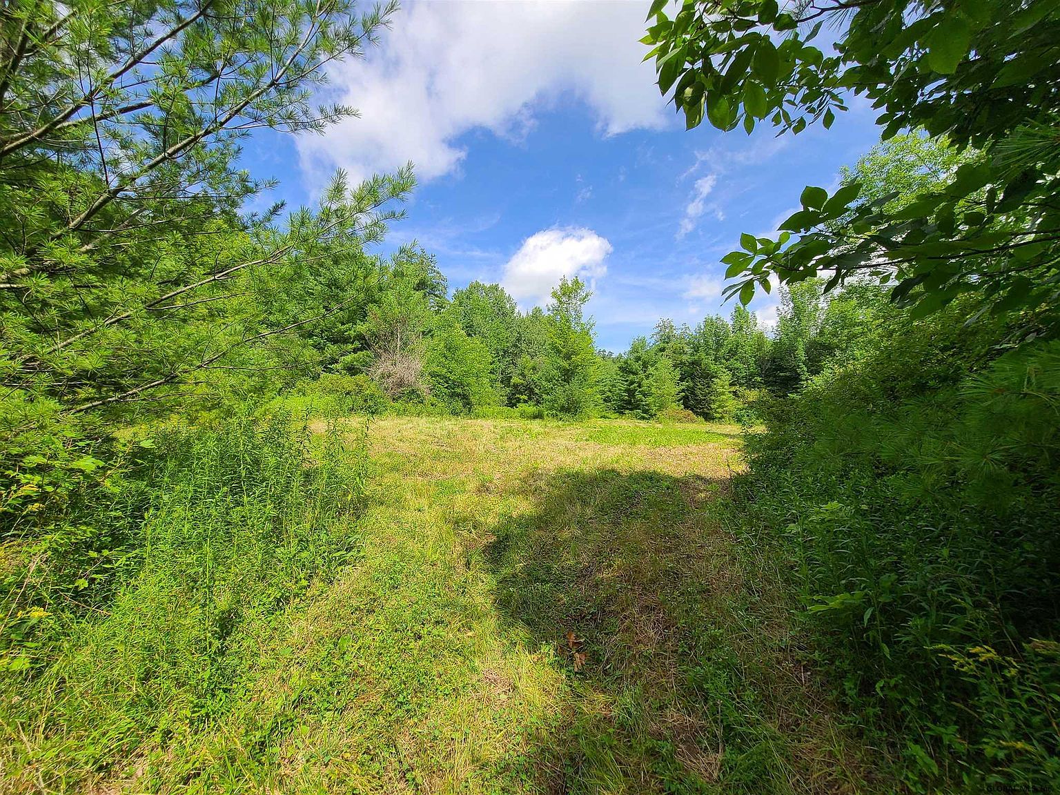 L27 BEAR LADDER Road, West Fulton, NY 12194 Zillow