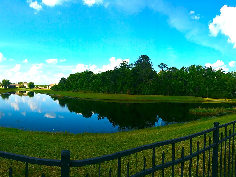 Back Yard and Pond