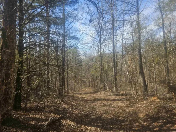 0 Fawn Rd, Big Flat, AR 72617