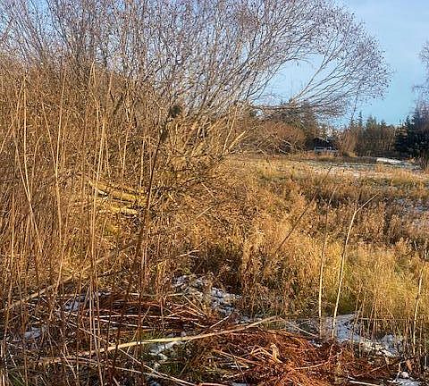 5th image of L19 Shelby Kay St