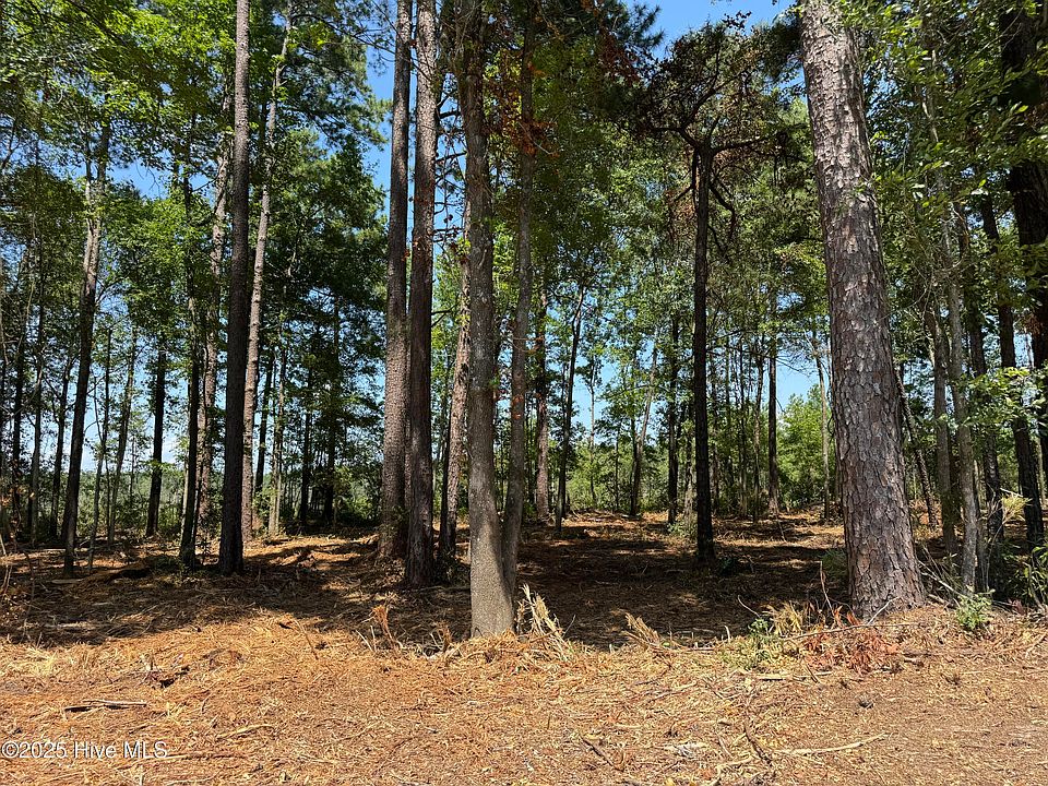 1st image of Lot 5 Near 4102 Swamp Fox (Lot 5) Highway W