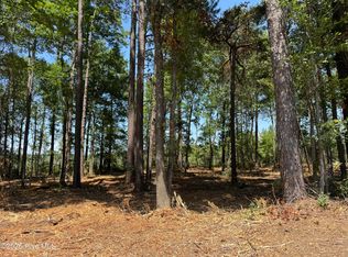 4102 Near Swamp Fld LOT 5, Tabor City, NC 28463