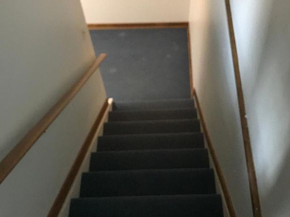 4th image of 3460 Appomattox Dr