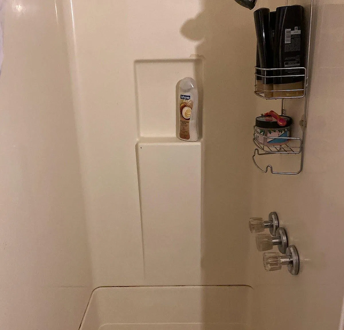 1 bed, $900 — Photo 2
