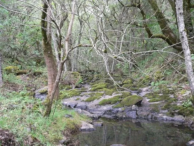 16970 Stage Rd photo 1