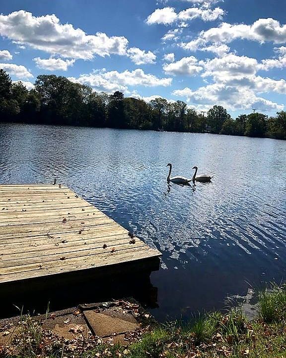 26 Ames Island Rd, Wareham, MA 02571 Zillow