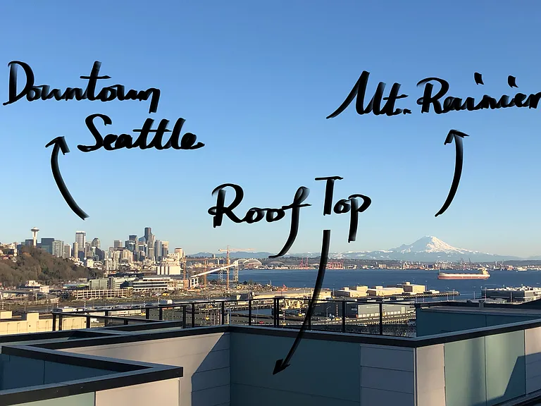 You can see the seattle city center and Mt. Rainier directly from the rooftop. Perfect spot for new year fireworks and sunset view point.