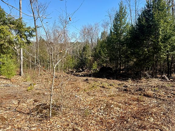2nd image of Map8Lot53B Buckfield Road