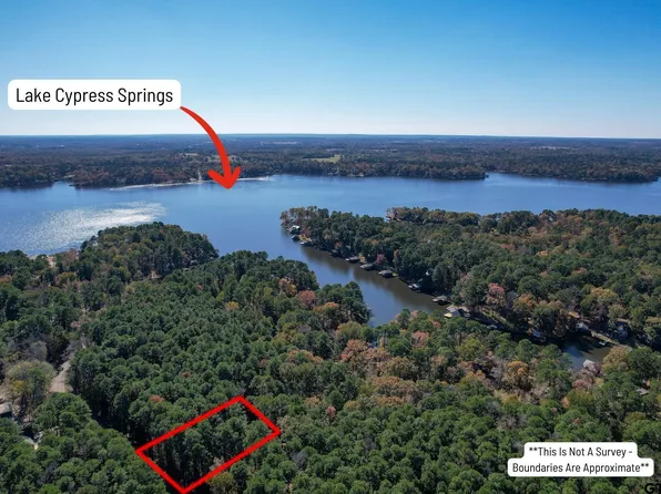 22 Wildwood Trl, Mount Vernon, TX 75457