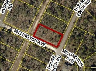 12285 Millington Ave, Weeki Wachee, FL 34614