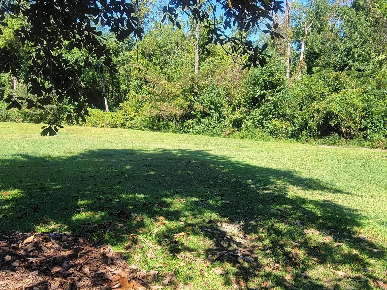 3 bed, 2.0 bath, $1,900 — Photo 2