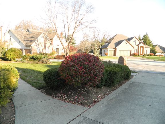 A view to the left from the house
