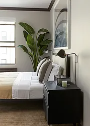 Rented by Nancy Packes Inc.