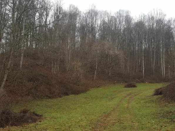 9020 Old Mill Rd, Glade Spring, VA 24340