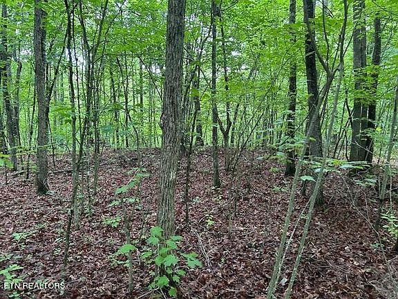3rd image of 0 Maple Ln Lot 34