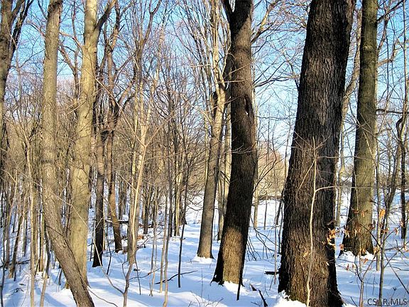 5th image of Hinkston Run Rd