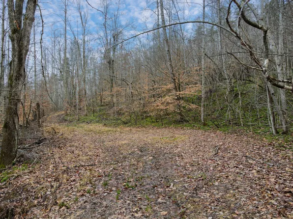 1737B High Rock Rd, Stanton, KY 40380