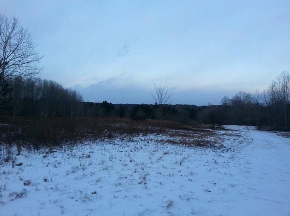 2nd image of 162 Gray Rd