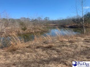 6134 Berry Rd, Latta, SC 29565