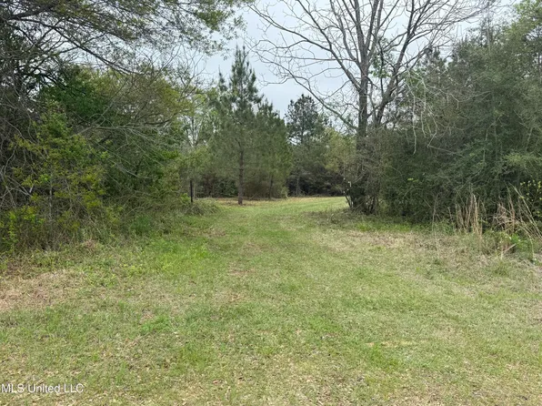 Beartown Rd, Jayess, MS 39641