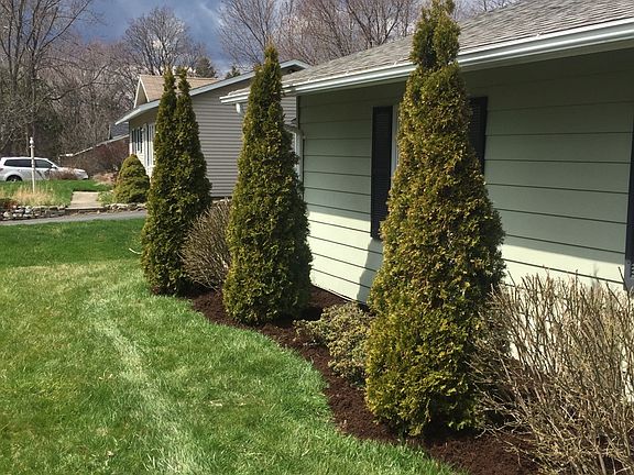 freshly mulched 