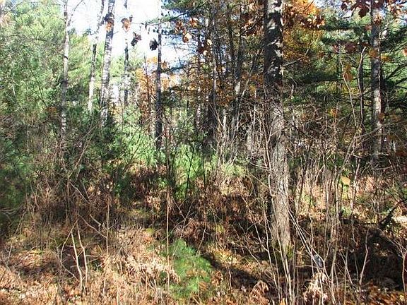 4th image of Lullaby Ln Lot 25