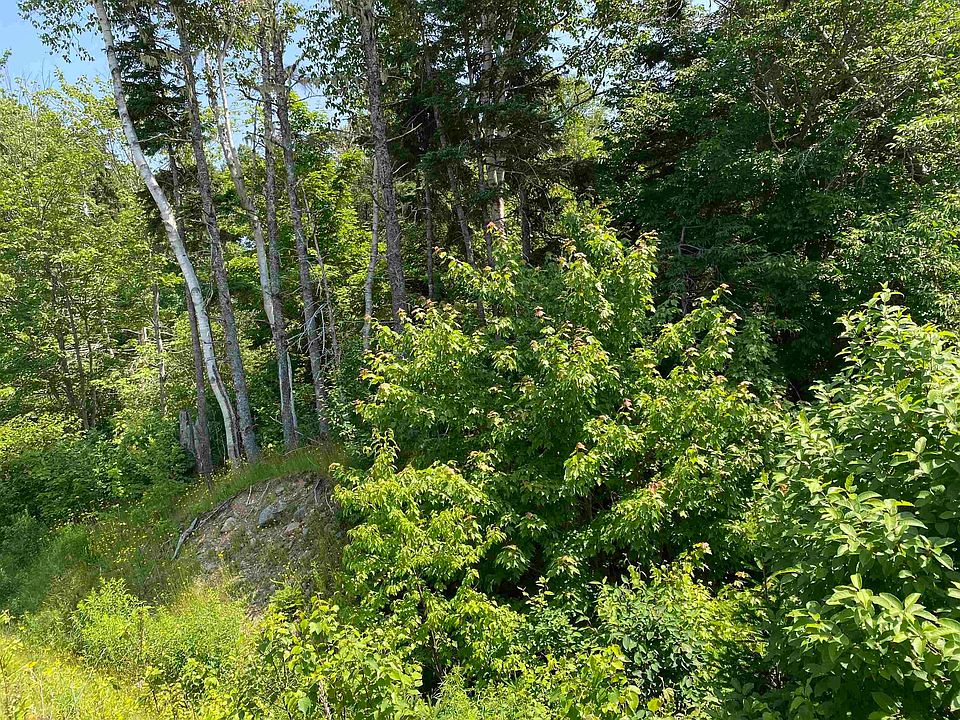 2nd image of 0 Cabot Trl