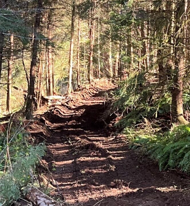 2nd image of 554 Eagle Point Road