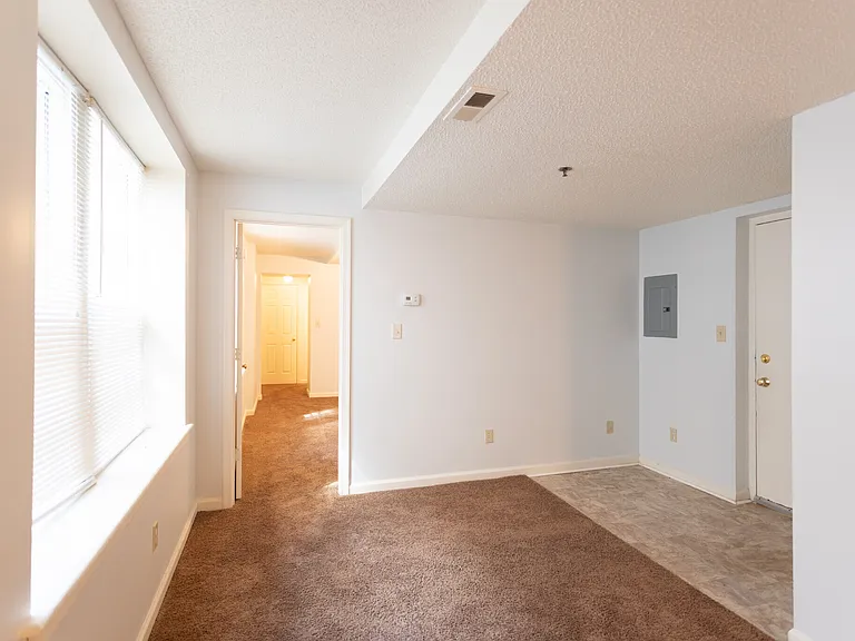 705 Hollins St — Photo 11