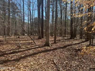 1542 Green Meadow Lane, Rocky Mount, NC, 27804