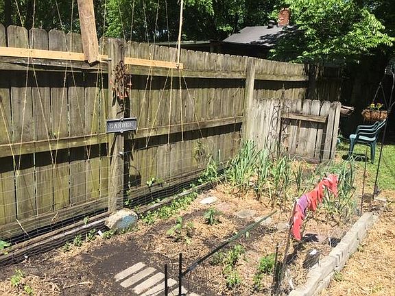 garden
