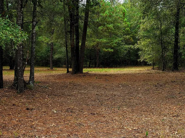 LOT 4 Hidden Cove Rd Lot 4, Pointblank, TX 77364