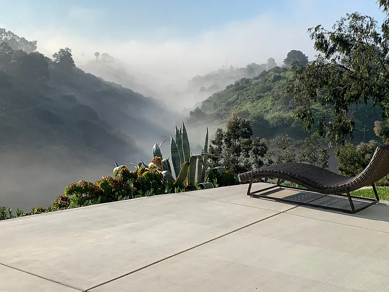 Backyard in the morning