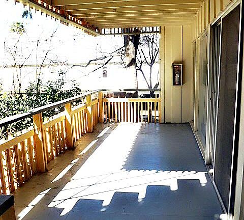 3rd image of 1411 Saratoga Ave APT 261