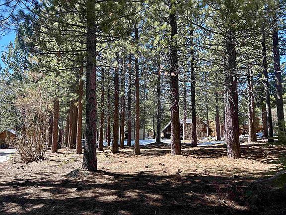 3rd image of 14963 Wolfgang Rd