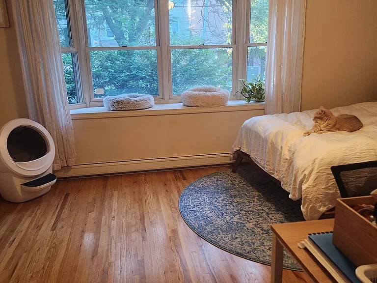 14 Seymour St #2 — Photo 5