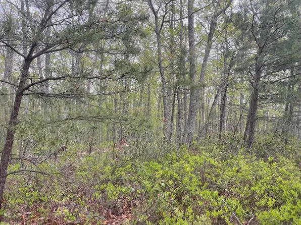 3990 Buck Mountain Rdg, Blacksburg, VA 24060