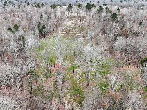 3rd image of TRACT Three Polk Rd #158