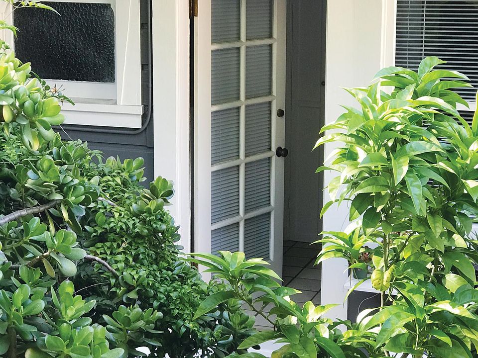 Back door leading to garden