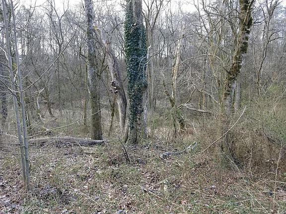 5th image of Old Dandridge Pike